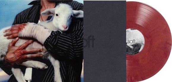 LP ploča Lany - Soft (Maroon Coloured) (LP) - 2