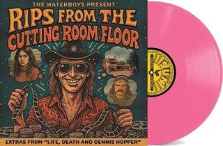 LP ploča The Waterboys - Waterboys Present: Rips From The Cutting Room (Pink Coloured) (LP) - 1