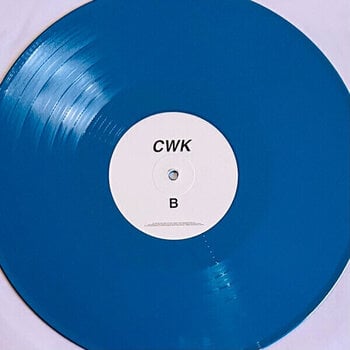 Vinyl Record Cold War Kids - Cold War Kids (Blue Coloured) (LP) - 2