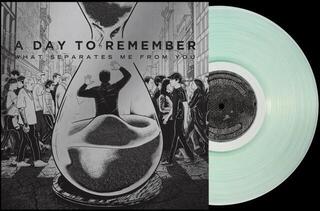LP ploča A Day To Remember - What Separates Me From You (15th Anniversary) (Limited Edition) (Coke Bottle Clear Coloured) (LP) - 1