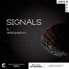 Бібліотека звуків для семплера Sonalsystem Curated Collection - The Sonic Alchemy Vault (Цифровий товар) - 2