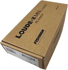 Adapter Fishman Loudbox Mini charger EU Adapter - 2