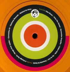 LP ploča Glenn Fallows And Mark Treffel - The Globeflower Masters Vol.2 (Limited Edition) (Transparent Orange Coloured) (LP) - 2