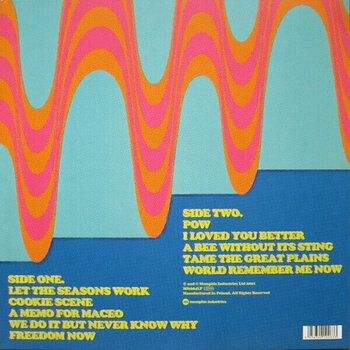 LP plošča Go Team - Get Up Sequences Part One (Limited Edition) (Turquoise Coloured) (LP) - 4