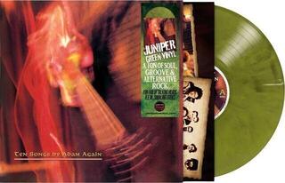 Schallplatte Adam Again - Ten Songs By Adam Again (Green Coloured) (Limited Edition) (Remastered) (LP) - 1