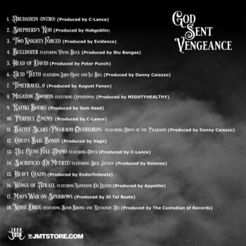Disc de vinil Vinnie Paz - God Sent Vengeance (Coloured) (2 LP) - 2