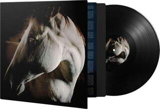 LP ploča Brother Dege - How To Kill A Horse (LP) - 1