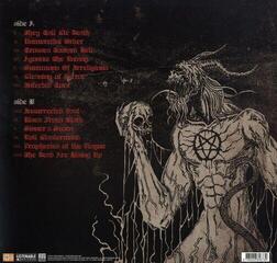 LP plošča Krisiun - Arise From Blackness (Limited Edition) (Red Coloured) (LP) - 2