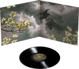 LP ploča Phosphorescent - Revelator (LP) - 2