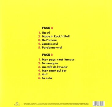 Vinüülplaat Johnny Hallyday - Made In Rock 'n Roll (LP) - 2