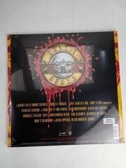 Δίσκος LP Guns N' Roses - Use Your Illusion I (Remastered) (2 LP) (Αποσυσκευασμένο μόνο) - 2