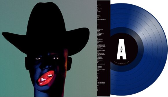 Disc de vinil Young Fathers - Cocoa Sugar (Blue Coloured) (LP) - 2