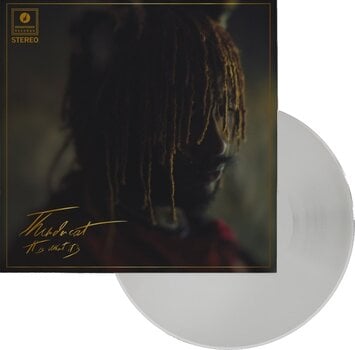 LP ploča Thundercat - It Is What It Is (Gatefold Sleeve) (Clear Coloured) (LP) - 2