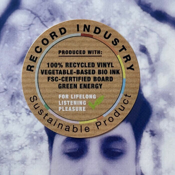 Vinyl Record Riverside - One (Eco Random Coloured) (LP) - 6