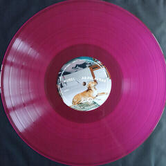 Hanglemez Rubel - As Palavras Vol. 1 & 2 (Limited Edition) (Pink Coloured) (2 LP) - 2