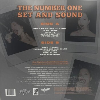 LP ploča Silver Skylarks - The Number One Set And Sound (LP) - 2
