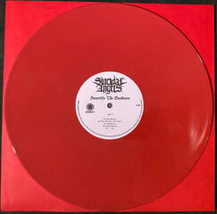 LP ploča Suicidal Angels - Sanctify The Darkness (Limited Edition) (Brick Red Coloured) (LP) - 2