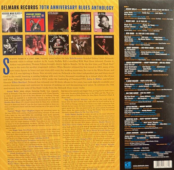 LP ploča Various Artists - Delmark 70th Anniversary Blues Anthology (LP) - 3