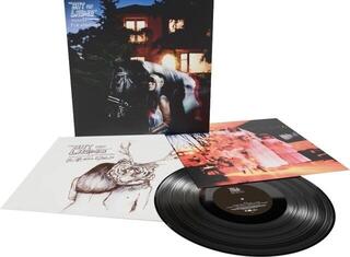 Disc de vinil Bat for Lashes - Fur And Gold (Remastered) (LP) - 1