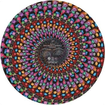 Vinyl Record Disclosure - Caracal (Reissue) (Anniversary Edition) (Deluxe Edition) (Limited Editon) (Picture Disc) (2 LP) - 2