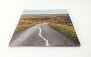 Disc de vinil Jordan Rakei - The Loop (2 LP) (Resigilat) - 1