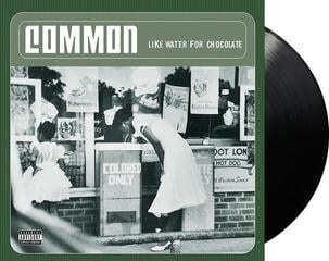 Vinylplade Common - Like Water For Chocolate (180 g) (2 LP) - 1