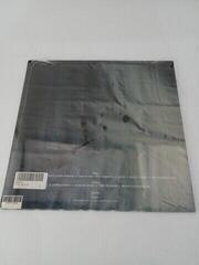 Disco in vinile Mystery Jets - Twenty One (LP) (Solo aperto) - 2