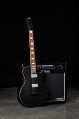 Elektrisk guitar PSD Guitars LSP-100M Matte Black Elektrisk guitar - 7