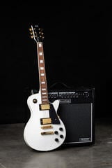 Electric guitar PSD Guitars LSP-100 White Electric guitar - 7