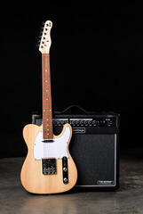 Elektrisk guitar PSD Guitars TLC-100 Natural Elektrisk guitar - 7