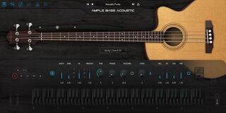 VST Instrument Ample Sound Ample 8in1 Bass Bundle (Digital product) - 7