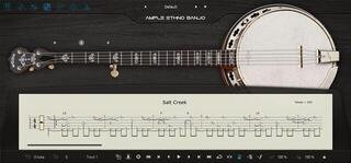 VST Instrument Ample Sound Ample Ethno Banjo - AEBJ (Дигитален продукт) - 1