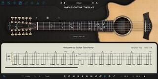 VST Instrument Ample Sound Ample Guitar 12 - AG12 (Digitalni proizvod) - 1