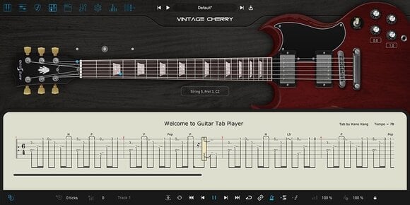 VST Instrument Ample Sound Ample Guitar VC - AGVC (Дигитален продукт) - 2