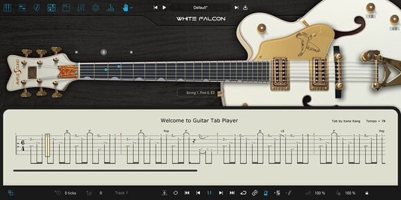 VST Instrument Ample Sound Ample Guitar WF - AGWF (Digitalni proizvod) - 2