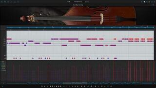 VST Instrument Ample Sound Ample Bass U - ABU (Digital product) - 4