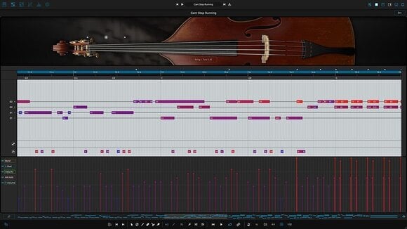 VST Instrument Ample Sound Ample Bass U - ABU (Produs digital) - 5
