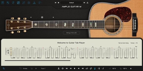 VST Instrument Ample Sound Ample Guitar M - AGM (Digital produkt) - 2