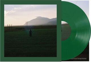 Vinylplate Ásgeir Julia (Limited Edition) (Transparent Green Coloured) (LP) - 1
