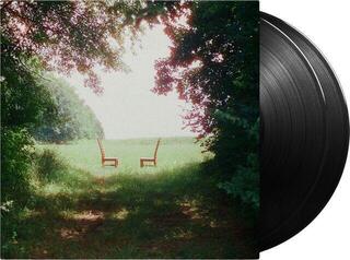 Disc de vinil Ratboys - Singin' To An Empty Chair (Gatefold Sleeve) (2 LP) - 1