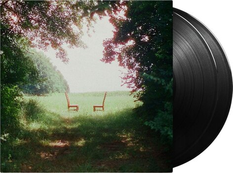 LP ploča Ratboys - Singin' To An Empty Chair (Gatefold Sleeve) (2 LP) - 2