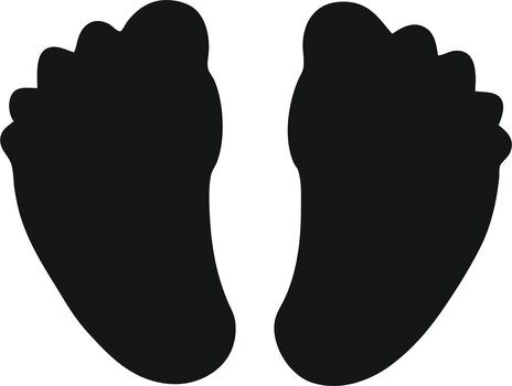 Dekoratiivne auguraud Heyda Dekoratiivne auguraud Jalad - 3