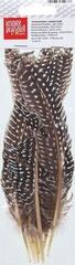 Material Knorr Prandell 216617980 Feathers - 1