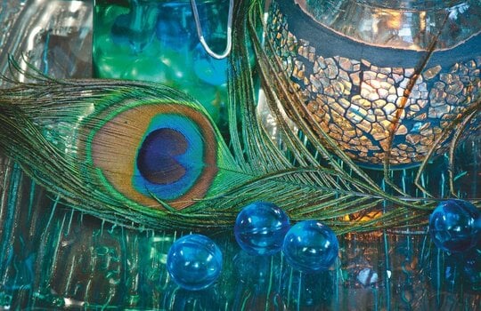 Materijal Knorr Prandell 216626025 Перо - 2