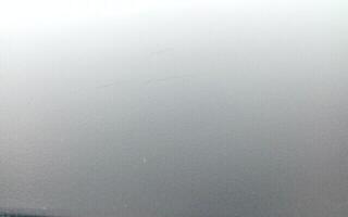 Delefilter / Højttaler Behringer DCX2496 Ultradrive Pro Delefilter / Højttaler (Så godt som nyt) - 5