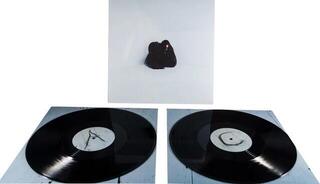 LP ploča Chelsea Wolfe - Hiss Spun (Reissue) (Gatefold Sleeve) (2 LP) - 1