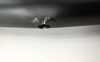 Lichtstativ Gravity LS 331 B Lichtstativ (Beschädigt) - 4