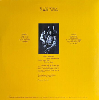 Грамофонна плоча Black Merda - Black Merda (Reissue) (Clear Beer Coloured) (LP) - 4