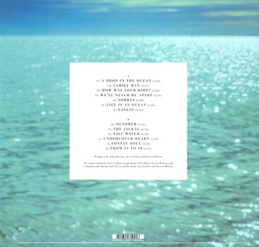 LP ploča Blackfield - Blackfield V (LP) - 2