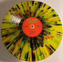 Disque vinyle Blake Babies - Sunburn (Reissue) (Leaf Green Opaque Coloured) (LP) - 1